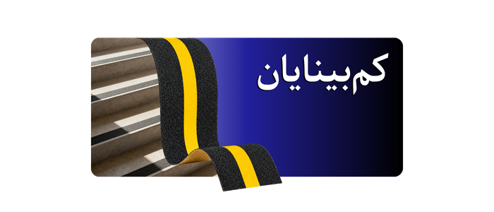 ترمزپله کم بینایان